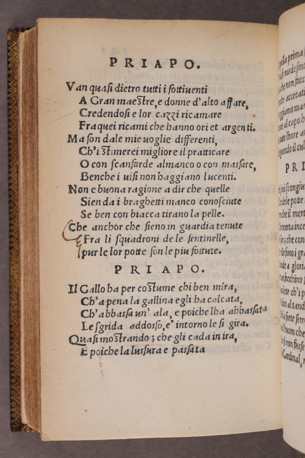 Folio 141 verso